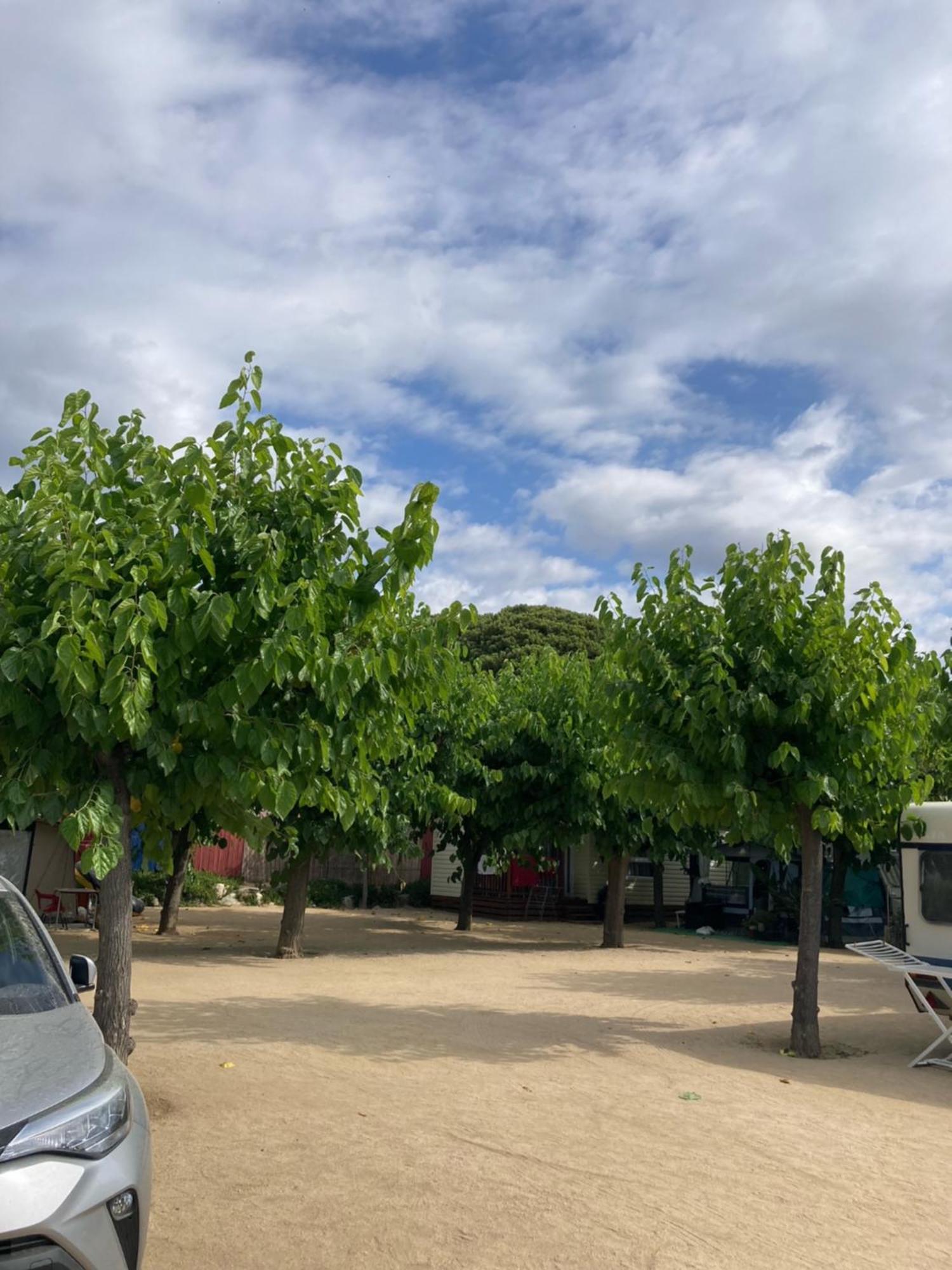 Camping El Pinar Platja Santa Susanna Exterior foto